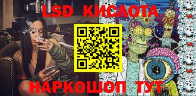 стафф Кандалакша
