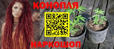 стафф Кандалакша