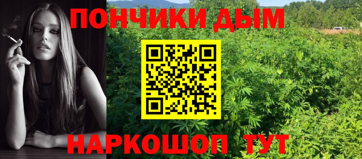Кушва  Канабис гибрид  Бошки Шишки OG Kush  Вход с VPN  Канабис семена 